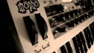 Dave Smith Mopho Keyboard Demo