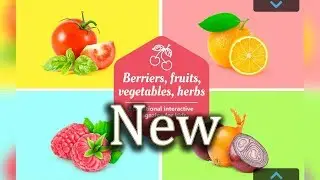 New Quality English Doman Cards - Vegetables - Fruits - Berries - Английский Карточки Домана