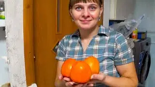 ОЧЕНЬ ВКУСНАЯ ХУРМА.  ИЗ ГОРОДА В ДЕРЕВНЮ 658 серия