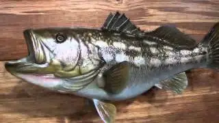 Largemouth Bass Fish Mounts