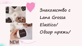 Знакомство с Lana Grossa Elastico/Обзор пряжи/