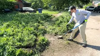 Lunch Lady feeds 8000 KIDS a day and her lawn had gotten OUT OF CONTROL