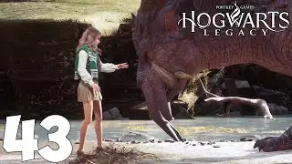 Hogwarts Legacy. Прохождение. Часть 43 (Дромарог. Исидора. Руквуд. Последнее испытание)