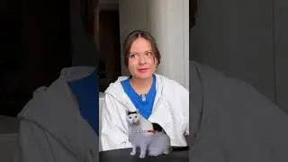 Сколько стоит мой стаф 