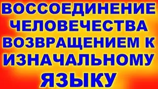 ЯЗЫКОВАЯ ПОЛИТИКА СПОСОБНАЯ ОБЪЕДИНИТЬ ЧЕЛОВЕЧЕСТВО. ДЛЯ ЧЕГО НАМ НУЖЕН ИЗНАЧАЛЬНЫЙ ЯЗЫК