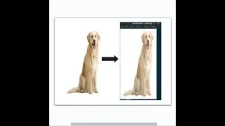 Display Images in Linux Terminal using Python