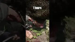 100 hours vs 1000+ hours gameplay in RDR2 be like: