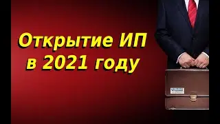 Открытие ИП в 2021 году. Пошаговая инструкция, порядок открытия и документы нужные для открытия ИП