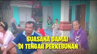 SUASANA PEDESAAN DI TENGAH PERKEBUNAN MILIK PERUSAHAAN BUMN || Lampung