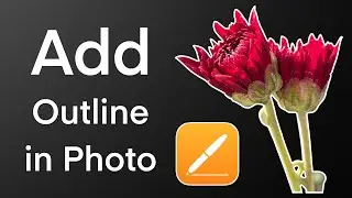 How to add Outline in PNG Photos through Pages App iPhone iPad