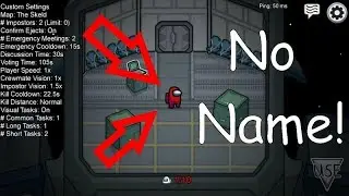 How To Put Blank Name In Among Us Game | Look More Creepy | RDIam