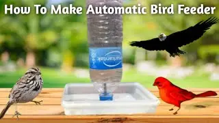 How To Make A Bird Water Feeder | Homemade Water Feeder | Easy DIY