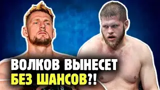 АЛЕКСАНДР ВОЛКОВ ПРОТИВ МАРЧИНА ТЫБУРЫ! Почему Волков огромный фаворит?