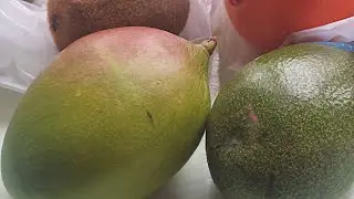 Проращиваем манго. Готовим татар бораки.