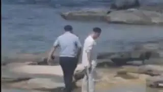 Бык вплавь добрался до 15 микрорайона Актау