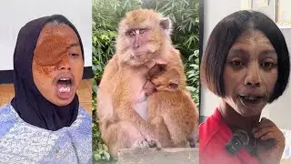 BEST OF NAK APPAN | Video Lucu | Viral | #5