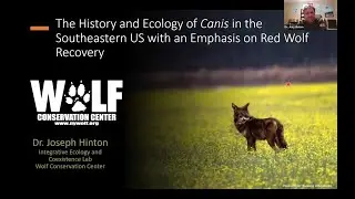 The History and Ecology of Canis in the Southeastern US with an Emphasis on Red Wolf Recovery