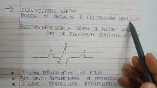 Stroke volume, cardiac output, blood pressure , pulse rate, electrocardiogram | cardiovascular