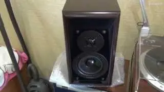 Technics SB-M300M2