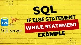 How to IF ELSE and WHILE Statement in SQL || SQL IF ELSE and WHILE Statement | SQL SQL IF ELSE WHILE