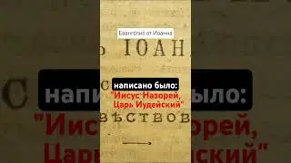 Приговор из 4х слов 