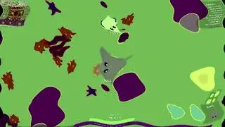 Loody Was Trolled by His Biggest Hater in Mope.io in G-Major 60 in G-Major 126 in G-Major 42