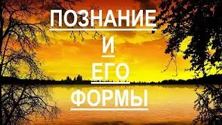 Познание и его формы