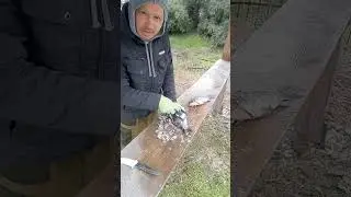 Чтобы жена была довольна вашей рыбалкой