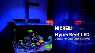 NICREW HyperReef LED