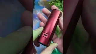 Best 2400 Puff