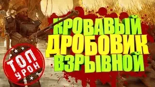 Fallout 76: БИЛД ДРОБОВОДА НА НИЗКОМ ЗДОРОВЬЕ ЧЕРЕЗ СКРЫТНОСТЬ