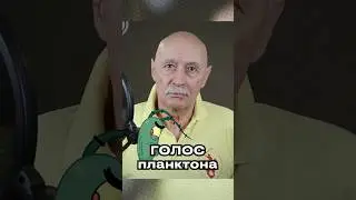 ГОЛОС ПЛАНКТОНА 10 ЛЕТ ➤ Юрий Меншагин — голос "Губка Боб"