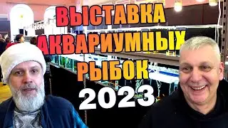 Выставка аквариумных рыб 2023. Москва. Клуб Русские аквариумы