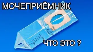 КАК  ПРАВИЛЬНО СОБРАТЬ ОБЩИЙ АНАЛИЗ МОЧИ. ЧТО ТАКОЕ МОЧЕПРИЕМНИК. ПРАВИЛА ИСПОЛЬЗОВАНИЯ. ОАМ