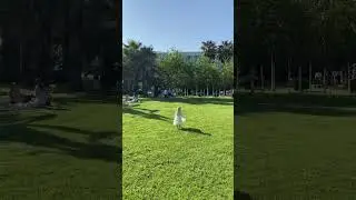 Счастье - жить с семьей в 