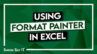 Using Excel Format Painter