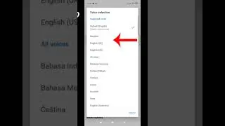 How to change voice on Google maps