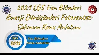 2021 Fen Bilimleri LGS Enerji Dönüşümleri (Fotosentez ve Solunum)Konu Anlatımı