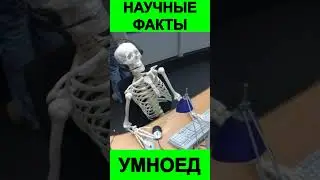 Как влияет ночная смена на здоровье? Доктор Майкл Грегер