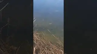 Карьер, заехал на карьер.