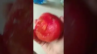 24 августа 2024 г.