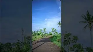 Bonus Tinggal Di Kampung