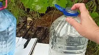 Источник воды в Зернево.