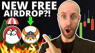 🔥FLOKI TRADING BOT AND TOKEN HOLDERS TO RECEIVE NEW $CAT MEMECOIN AIRDROP?!