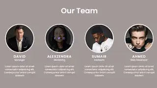 Responsive Our Team Section | CSS Tutorial | With Source Code