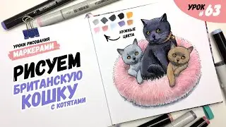 Как нарисовать кошку с котятами? / Видео-урок по рисованию маркерами для новичков #63