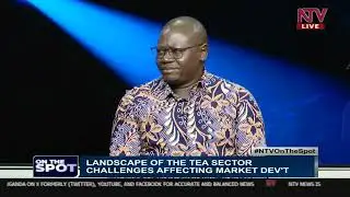 Addressing challenges affecting tea sector | ON THE SPOT