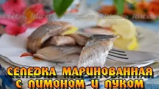 Селедка маринованная с лимоном и луком. Нежная, ароматная и в меру соленая.