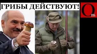 Путин поделился своими грибами с Лукашенко?