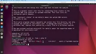 Demystifying DNS Resolution in Linux
